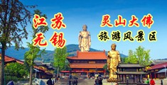 麻豆动漫美女网址江苏无锡灵山大佛旅游风景区